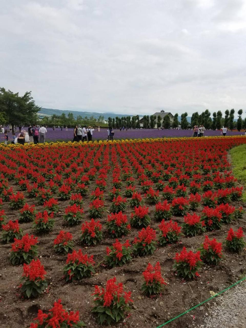 Furano Mount Villa Exterior photo